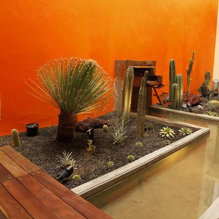 Coyoacan - Inn Mexico City Exterior photo